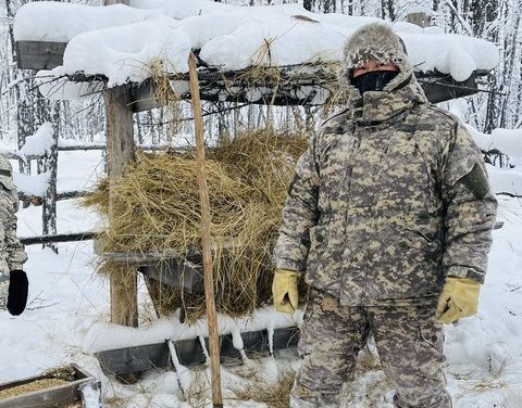 В ресурсном резервате «Харыйялахский» диким животным помогают прокормиться зимой